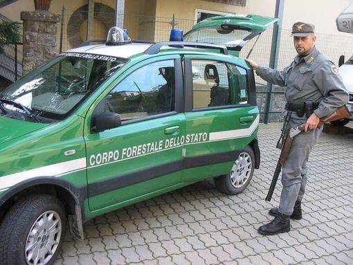 I forestali non vogliono diventare carabinieri. Via all’accorpamento con l’Arma, sit-in di protesta a Roma