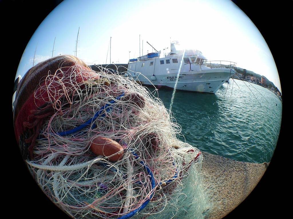 Che spreco le quote di Bruxelles 
Buttato in mare metà del pesce