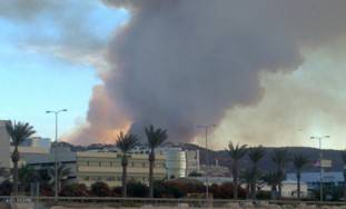 Israele, incendio ad Haifa 
Brucia il monte Carmelo: 
ci sono almeno 50 morti