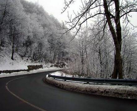 Autostrade chiuse per alberi ghiacciati sulla carreggiata