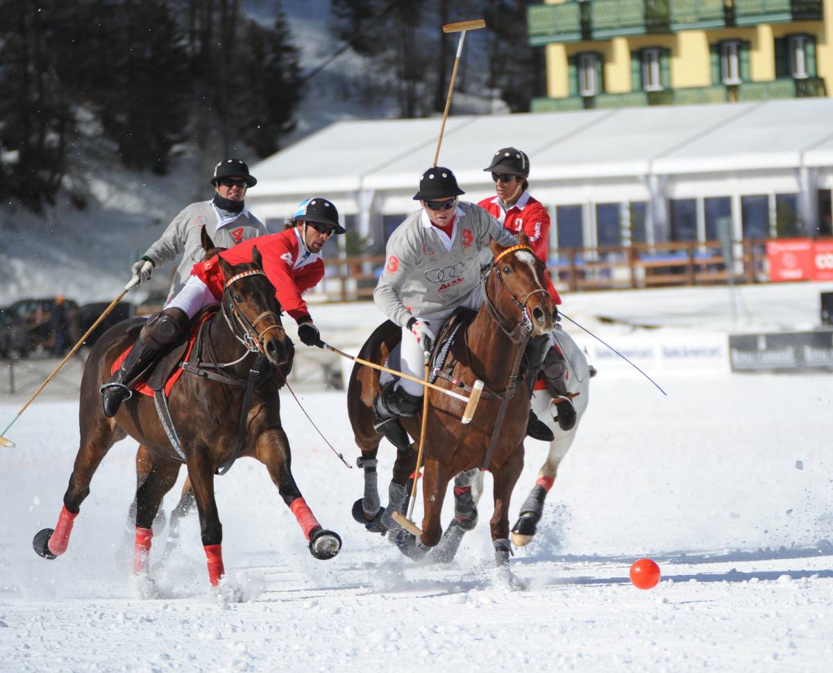 Cortina Winter Polo, Audi Polo Gold Cup Circuit 2011