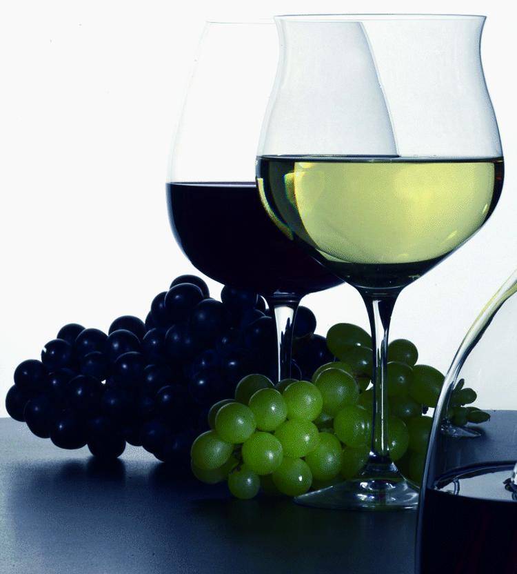 La qualità in bottiglia dei vini del Tigullio «battezzati» Portofino