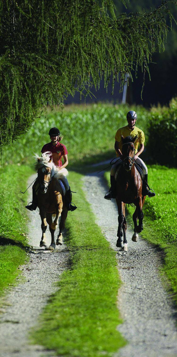 Salire in sella per «cavalcare» le disabilità