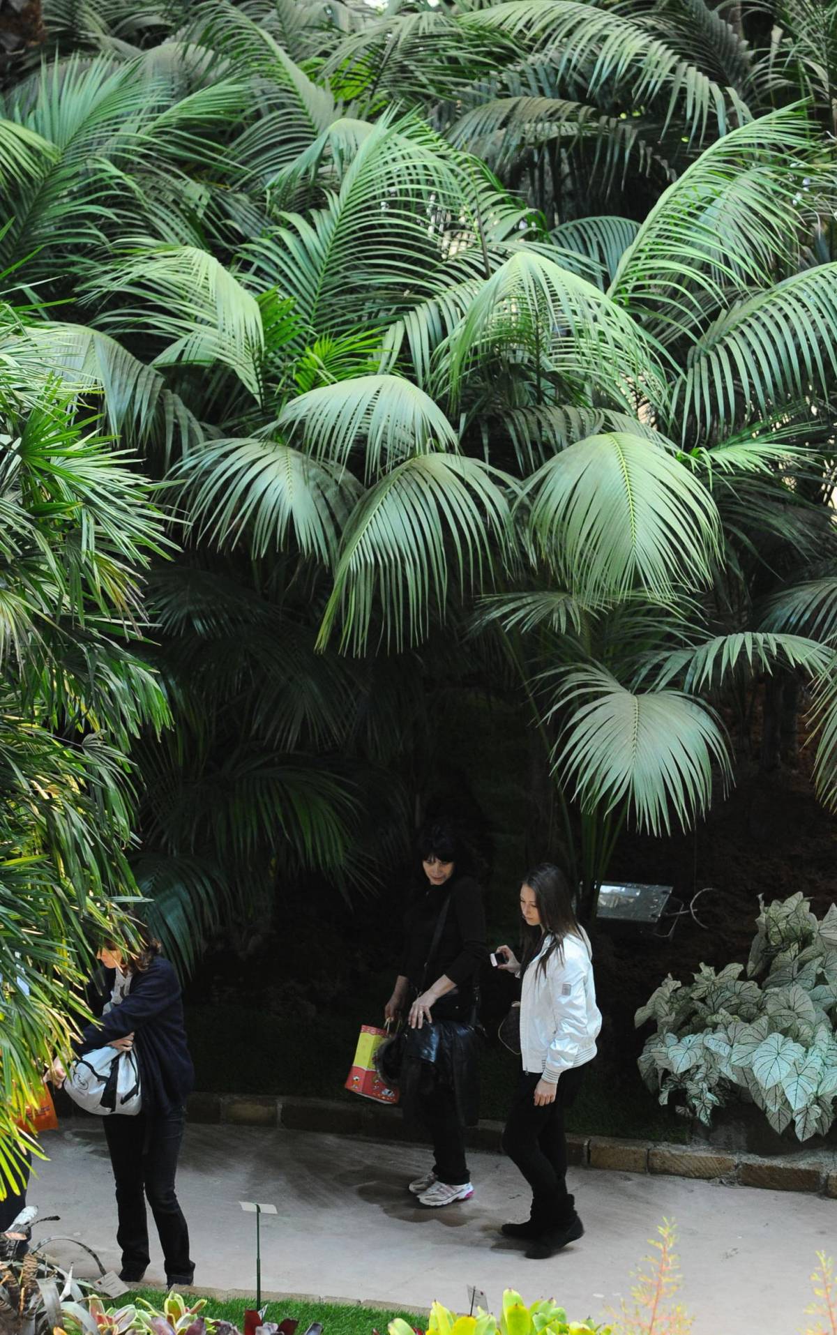 Metti un’Euroflora permanente con un circuito di «musei verdi»