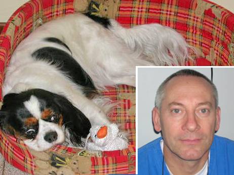 Il mio cane ha il soffio al cuore, cosa devo fare?
