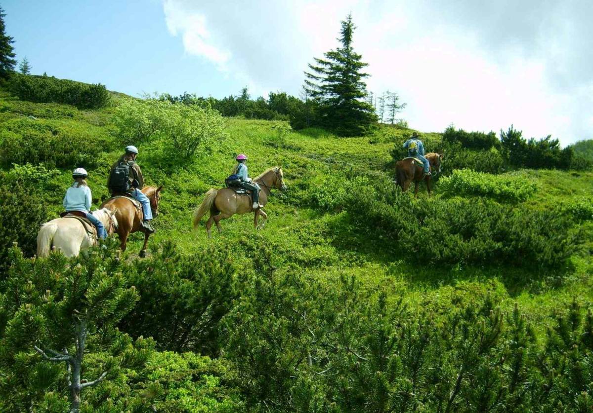 Carnia, trekking a cavallo fra monti e valli