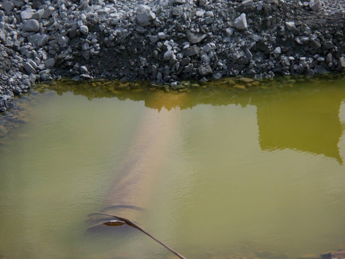 Cogoleto, il lago verde sulla spiaggia avvelena la sfida