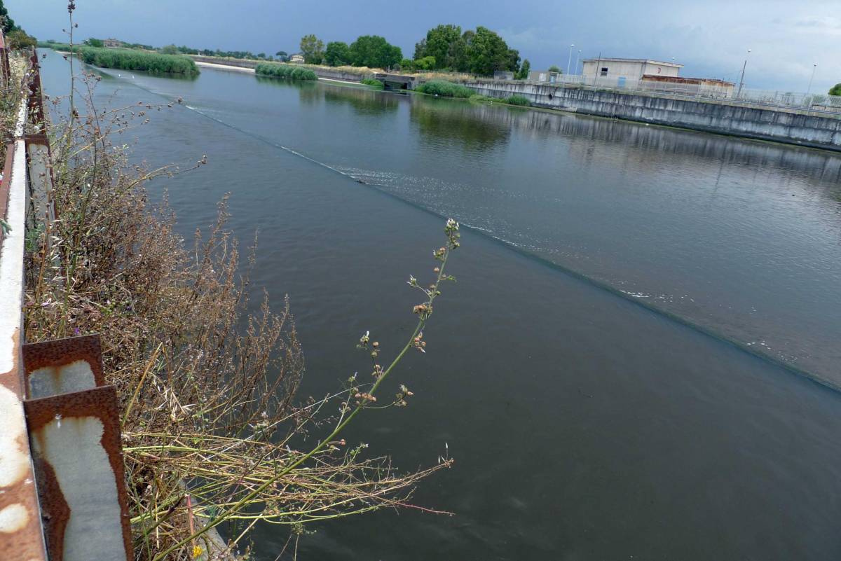 Castelvolturno, bimba di 7 anni morta nel canale 
Preso ghanese: l'ha uccisa dopo lite con la madre