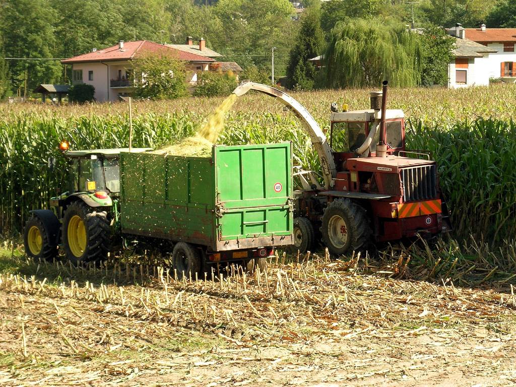 Adesso l'Italia vieta i pesticidi sulle pannocchie 
Ed è costretta a comprarle dai Paesi che li usano