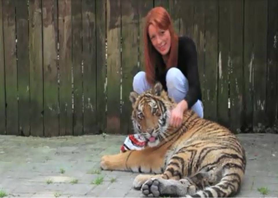 La Brambilla gioca con la tigre - Video