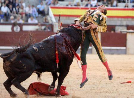Ecco Ratòn, il toro killer 
che infiamma la Spagna: 
ha già ucciso 3 persone