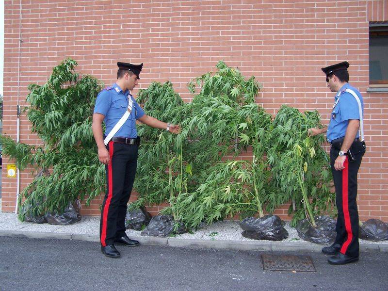 Viterbo, coltivava marijuana nella caserma 
Arrestato un maresciallo dei carabinieri 