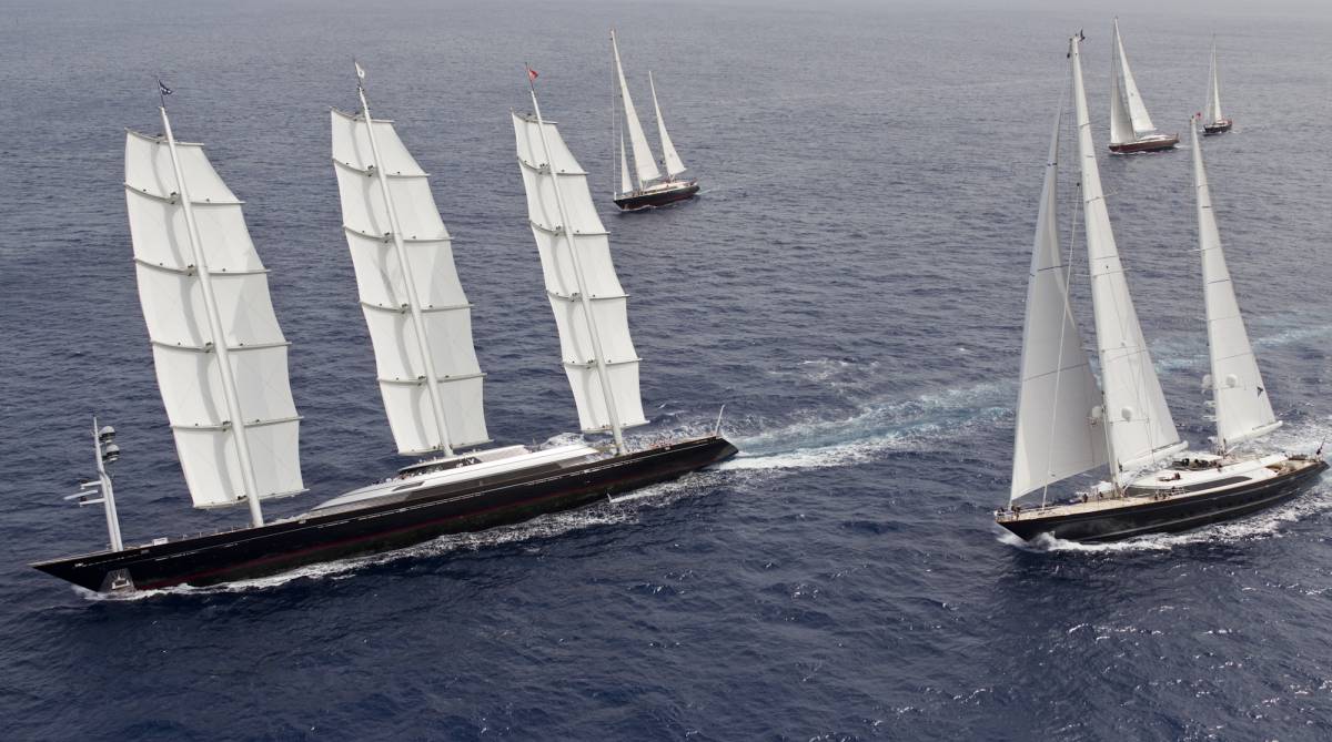 Trionfa Maltese Falcon
davanti a Parsifal III