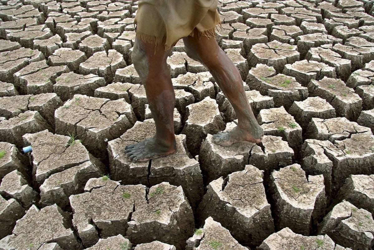 Ecco il sito internet che sgonfia le "eco-balle"