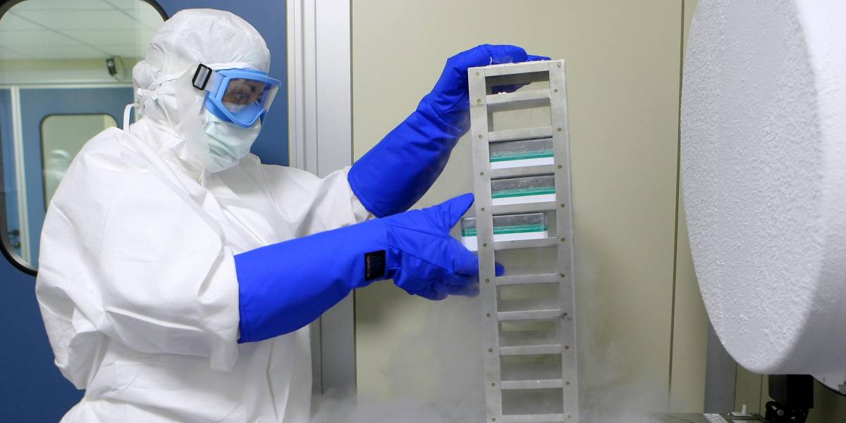 Stop all’uso di embrioni umani per la ricerca su nuovi farmaci