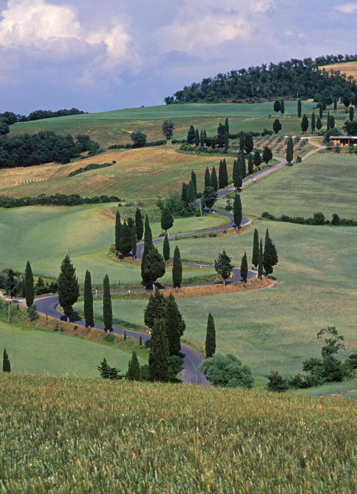 Le dolci colline dell’orrore