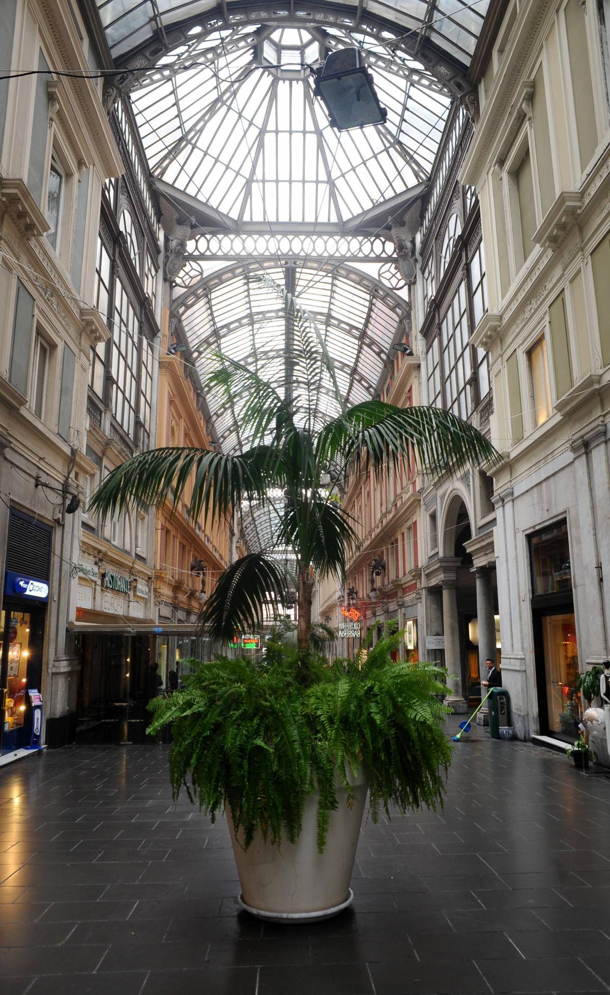 Galleria Mazzini si trasforma in una serra verde tutto l’anno