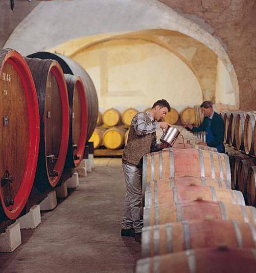 Da Alois Lageder la natura entra in cantina