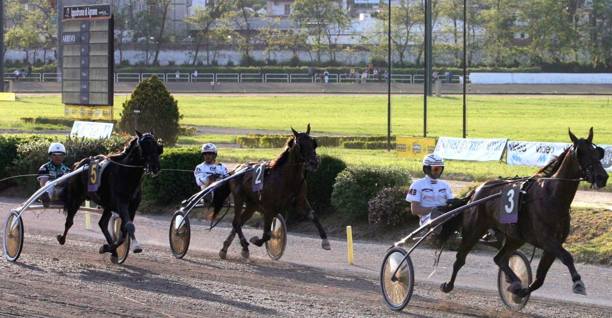 Litiga alla gara di cavalli: per lui niente più ippodromo per mesi