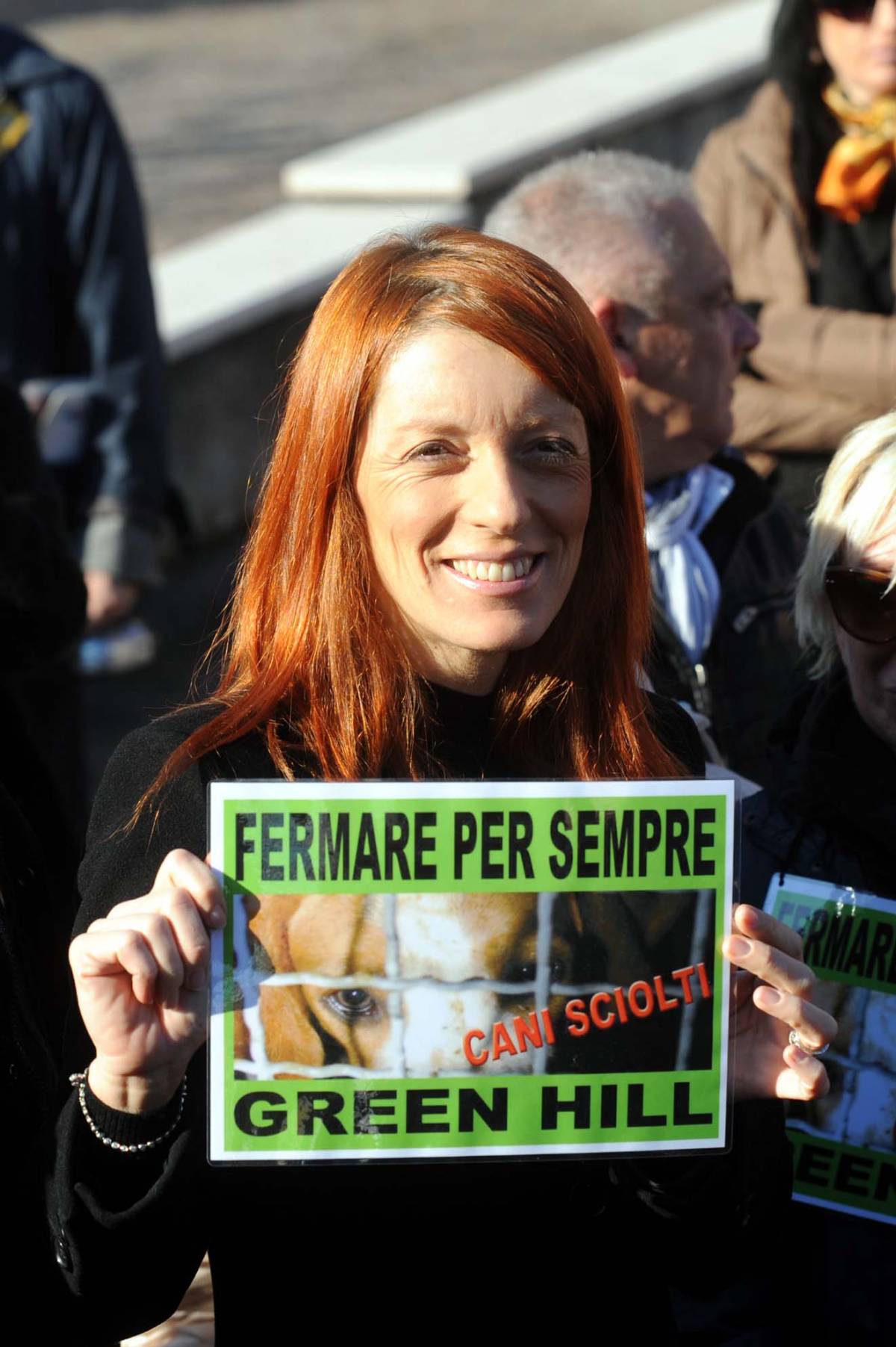 Brambilla: "No tregua a Green Hill Blocchiamo vergogna nazionale"