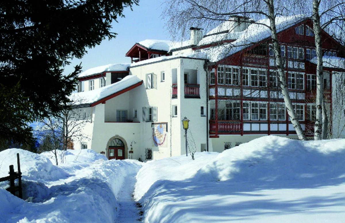 Capodanno tra boschi e bianchi pascoli innevati