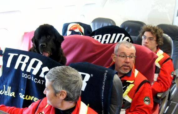 Il cane bagnino ora vola in poltrona Battesimo dell’aria per Mas e gli altri