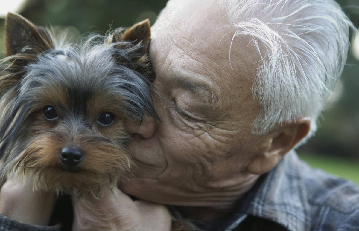 Amore infinito, cani e padroni sepolti insieme