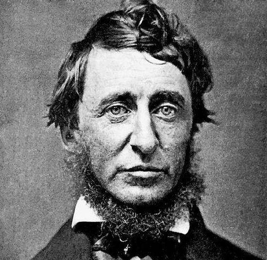 Quando a Cape Cod andava Thoreau (e non Obama)