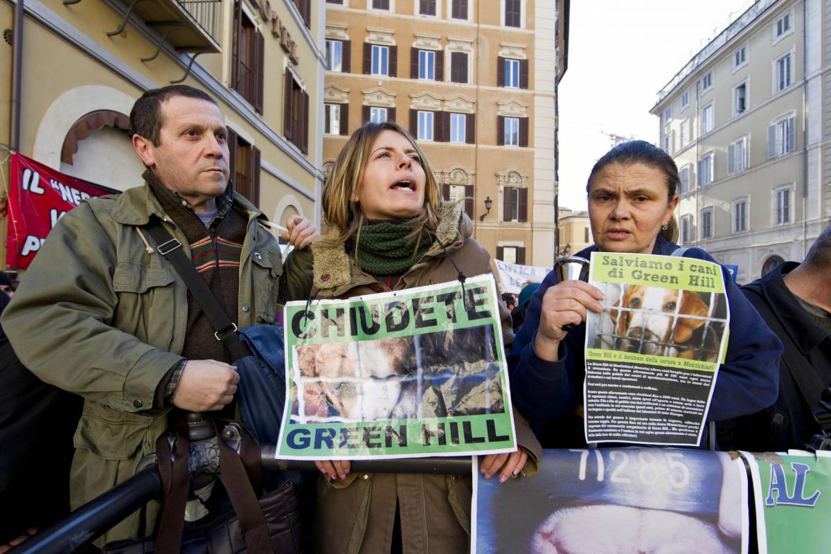 Green Hill chiuderà: la Brambilla in piazza con gli attivisti