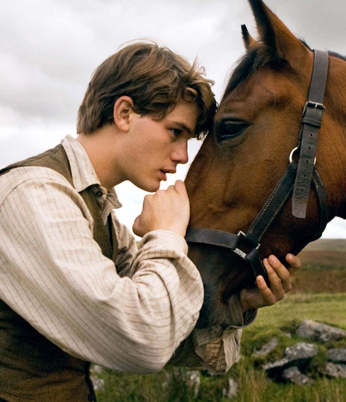 Che sbadigli in sala con «War horse» di Spielberg