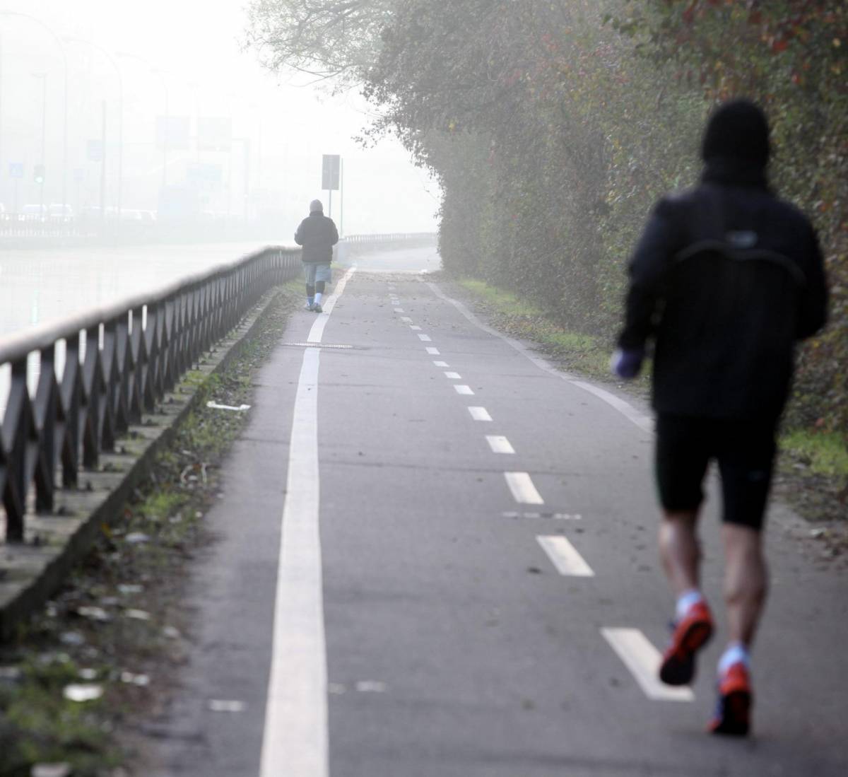 Presa la banda del Naviglio: "Incubo della pista ciclabile"