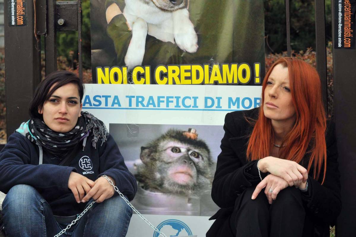 La vittoria degli animalisti  Stop alla tratta dei macachi