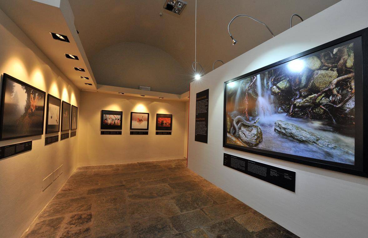 Fotografia naturalistica in mostra al Forte di Bard