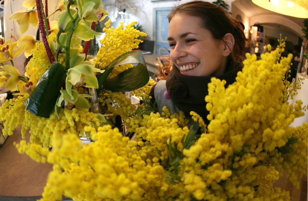 Ecco perché la mimosa  simboleggia la donna