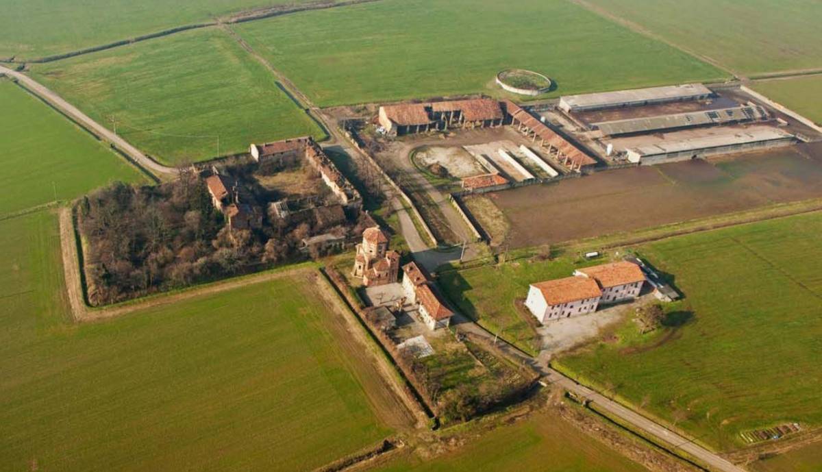 Piante e giardini in primavera Oggi a lezione dagli esperti