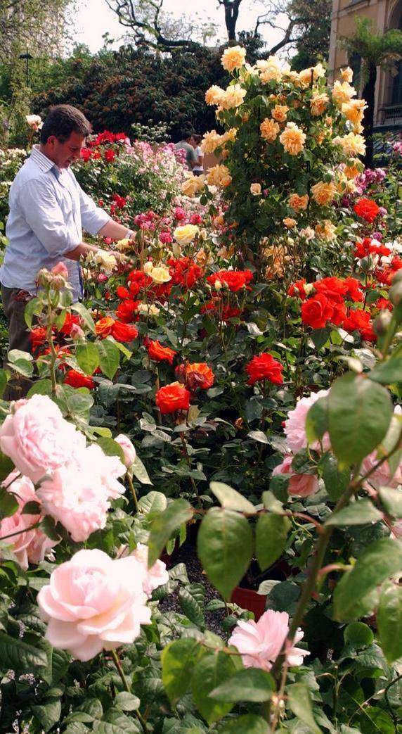 Milanesi col pollice verde: il terrazzo di casa diventa un mini giardino botanico