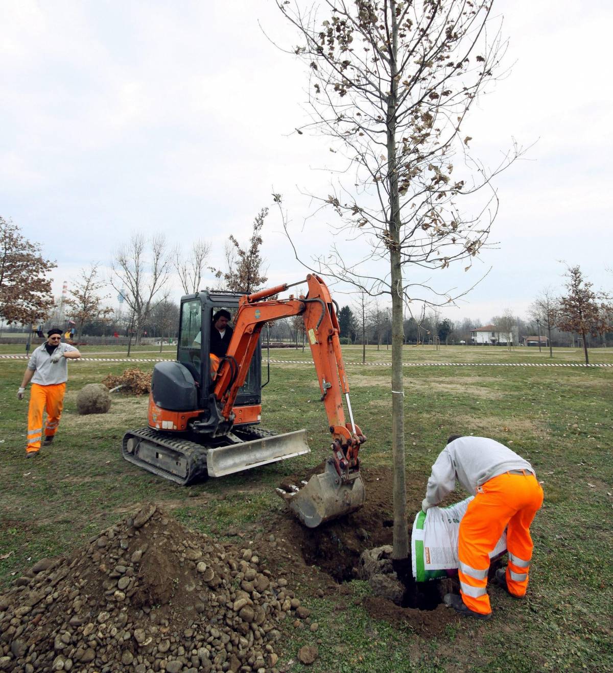 Smog, nasce la zona A come alberi