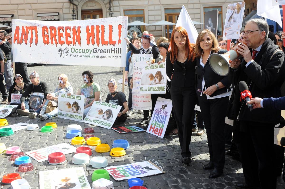 Green Hill, animalisti in piazza a Roma La Brambilla: fermare la vivisezione