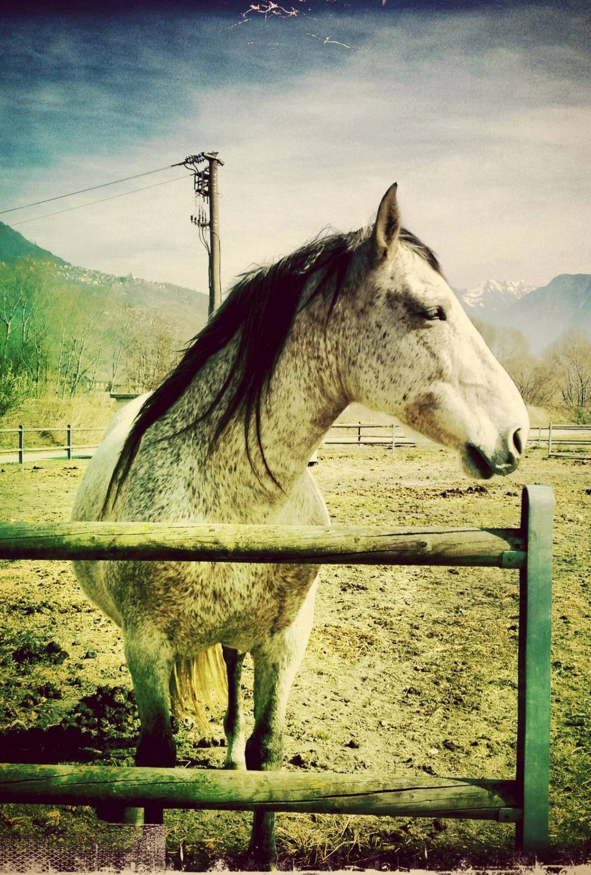 Come essere a cavallo nel giorno del turismo verde