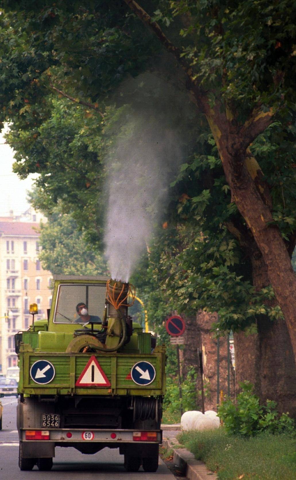 Le zanzare già pungono Ma nessuno sa ancora chi dovrà combatterle