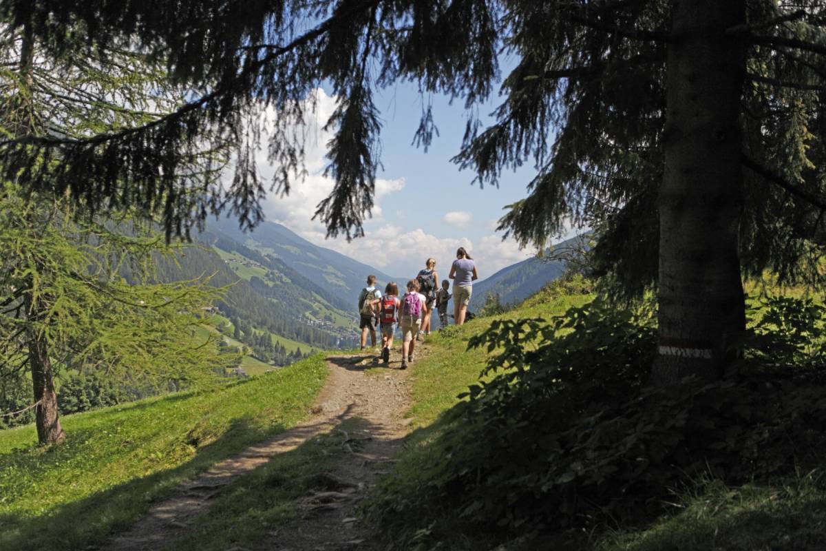 Val d'Ultimo, birdwatching alla ricerca degli aquilotti