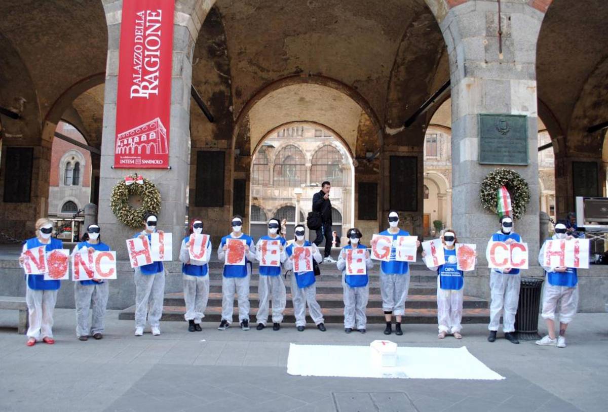 L'appello degli animalisti: "Non mangiate gli agnelli a Pasqua"