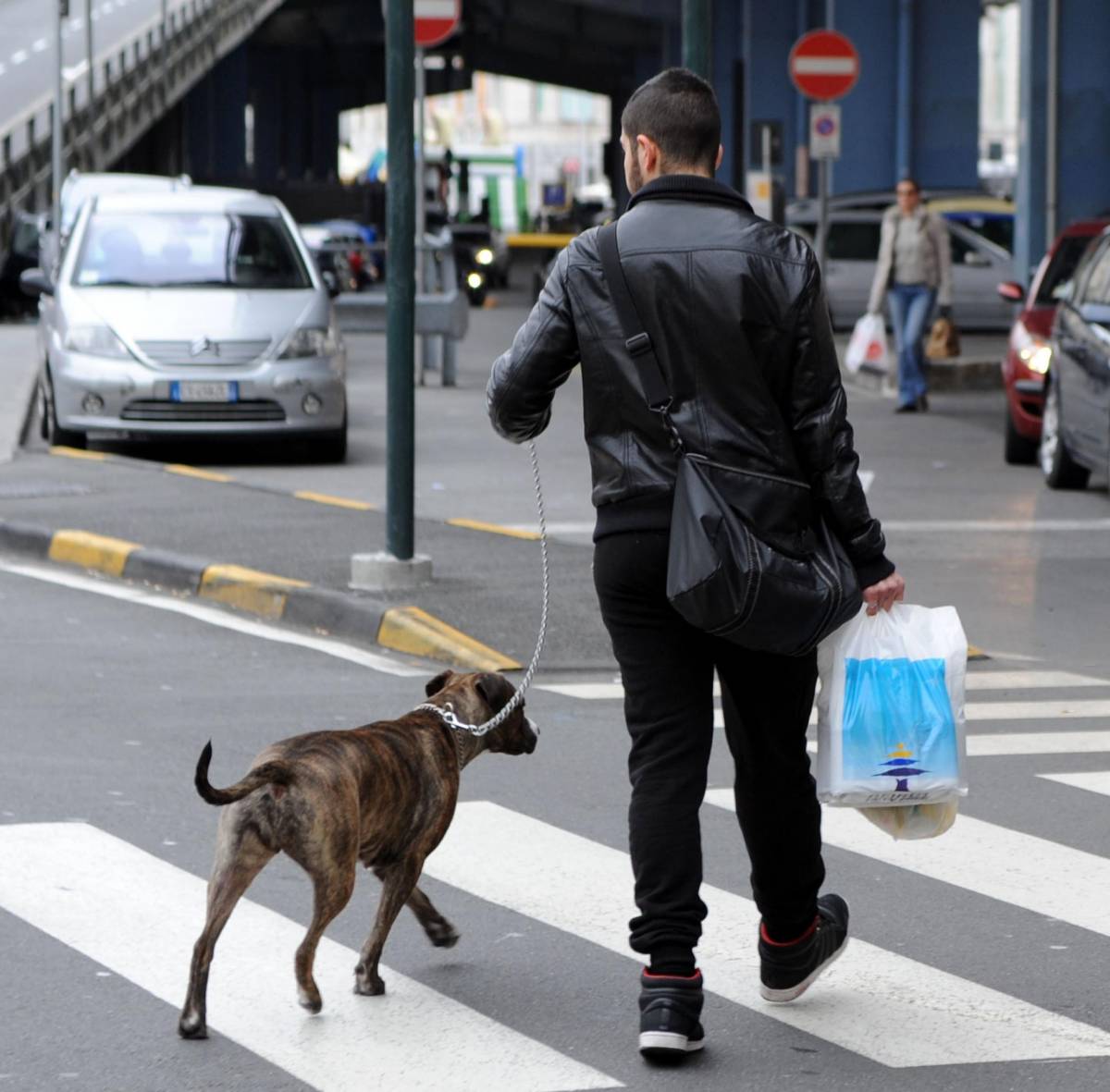 La svolta animalista dei nuovi sindaci