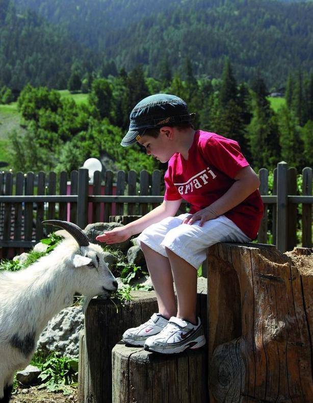 Piccoli esploratori tra i boschi di Ortisei per divertirsi imparando i segreti della montagna