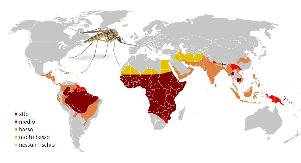 Combattere l’invasione delle zanzare  ma senza danneggiare l’ambiente