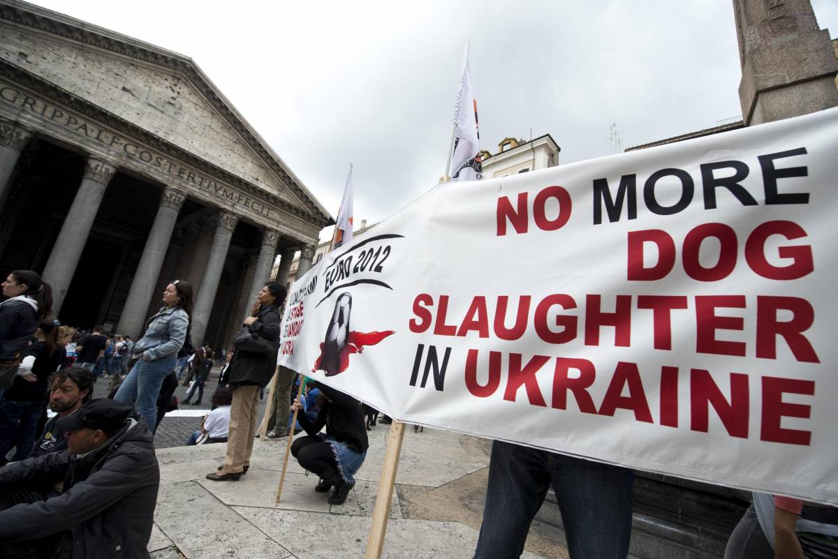 I big dello spettacolo in piazza contro la strage dei cani randagi in Ucraina