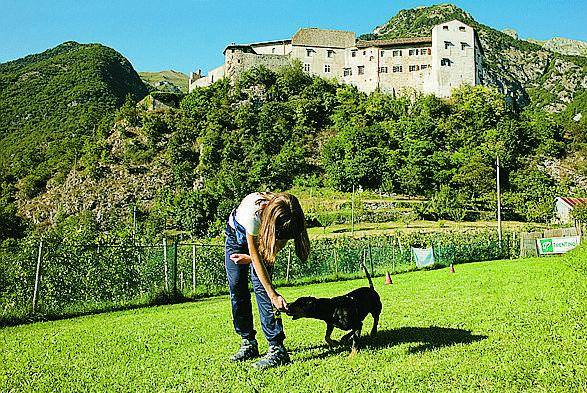 In vacanza con Fido ai piedi delle Dolomiti