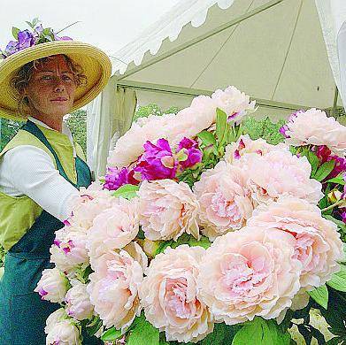 Orticola diventa un percorso di rose