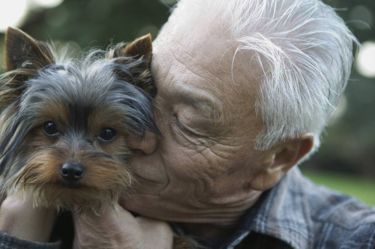 Fedeli e precisi: cani-badanti aiutano i malati di Alzheimer