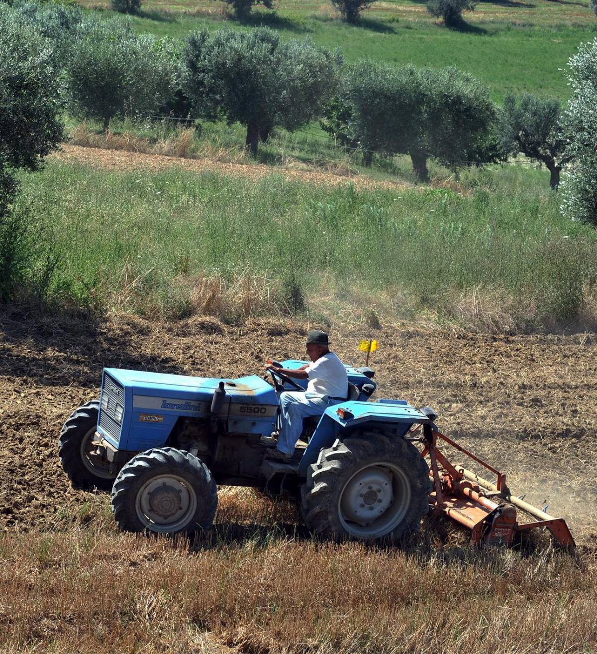 Agricoltura, un trimestre da allarme rosso